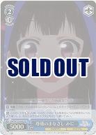 尊敬のまなざし みに(ホイル) 【KNK/W132-094SR】