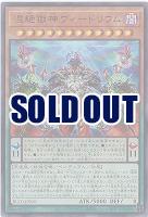 混絶獄神ヴィードリウム【BLZD-JP010UR】