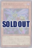 捕食植物ビブリスプ 【BLZD-JPS12UR】