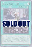 禁じられた一滴【RC04-JP065UR】