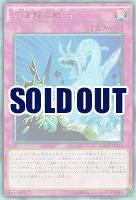 幻煌龍の戦渦 【MACR-JP072R】