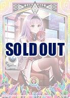 調査記録 【B42/007R】