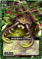 吊花巨虫ギラファノコギリ 【ZXB10-092C】